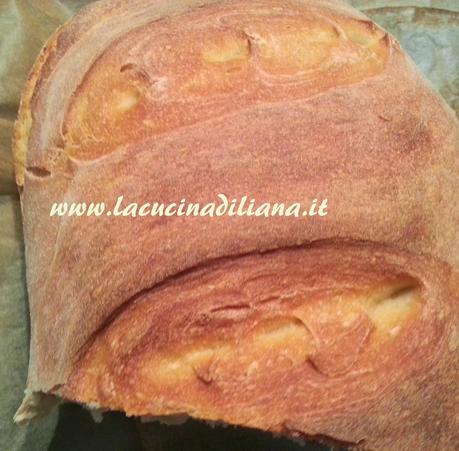 Pane con Kamut a lievitazione Naturale