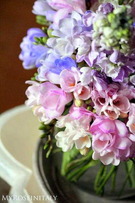 Delicati fiori di primavera