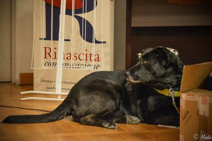 Una serata in libreria: La sedia di Lulù. Una serata in libreria: La sedia di Lulù.