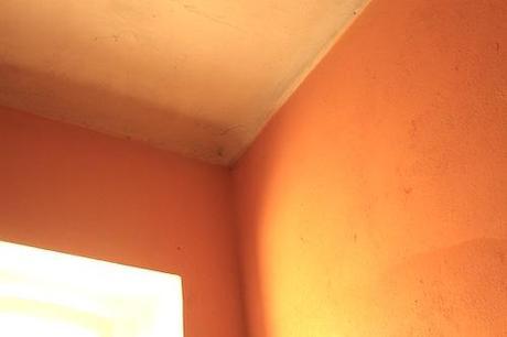 Una settimana di decluttering: Giorno #7 IMG_4554