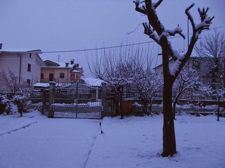 Ancora la neve