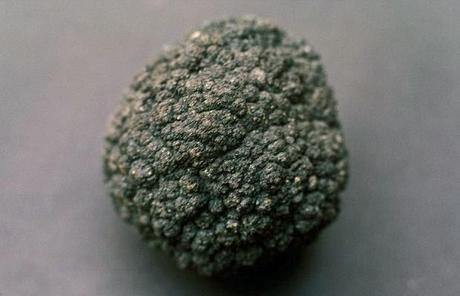 Risveglio Edizioni, Libri, Spiritualità, Meditazione, Medicina, Cosmologia, Arte, Filosofia, Ufologia, Federico Bellini, Ambra Guerrucci, Osho, TV