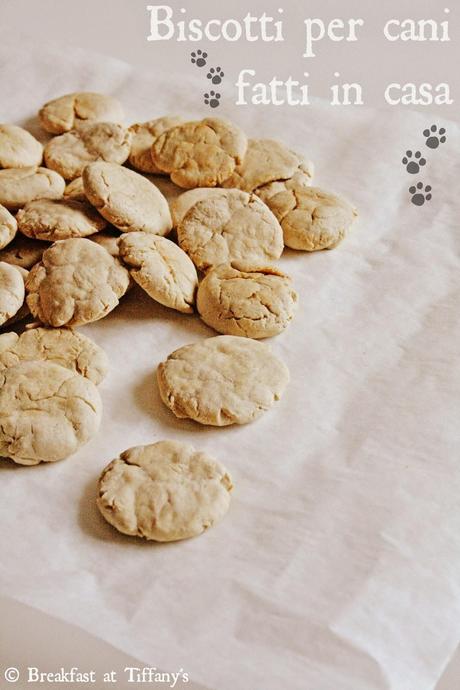 Biscotti per cani fatti in casa / Homemade Cookies for dogs