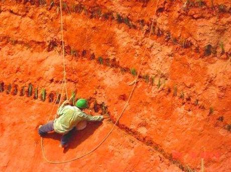 Dalla bauxite arrivano segnali positivi per il mercato dell’alluminio