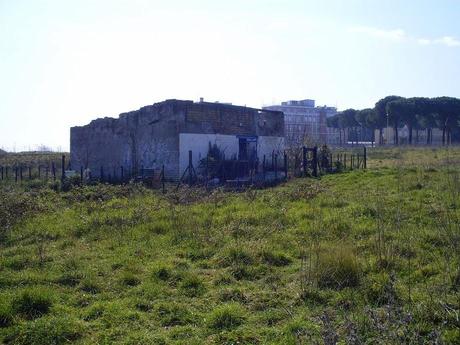 25 foto dopo un'escursione dell'orrore al Parco del Pineto. Oasi naturale con vista San Pietro che si trasforma in discarica ad uso dei ladri di appartamento