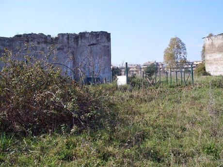 25 foto dopo un'escursione dell'orrore al Parco del Pineto. Oasi naturale con vista San Pietro che si trasforma in discarica ad uso dei ladri di appartamento