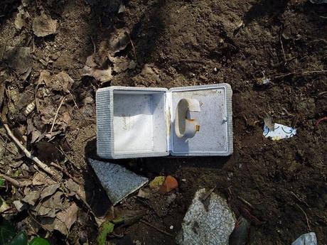 25 foto dopo un'escursione dell'orrore al Parco del Pineto. Oasi naturale con vista San Pietro che si trasforma in discarica ad uso dei ladri di appartamento