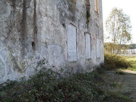 25 foto dopo un'escursione dell'orrore al Parco del Pineto. Oasi naturale con vista San Pietro che si trasforma in discarica ad uso dei ladri di appartamento