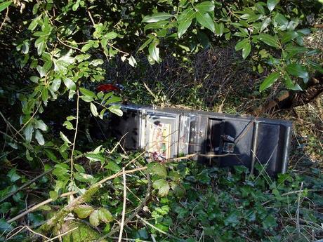 25 foto dopo un'escursione dell'orrore al Parco del Pineto. Oasi naturale con vista San Pietro che si trasforma in discarica ad uso dei ladri di appartamento