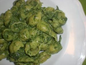 |⇨ Conchiglie agli spinaci