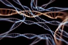 La “Wavegenetic” o Genetica ondulatoria