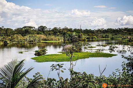 Viaggio in amazzonia - Lago nella foresta amazzonica