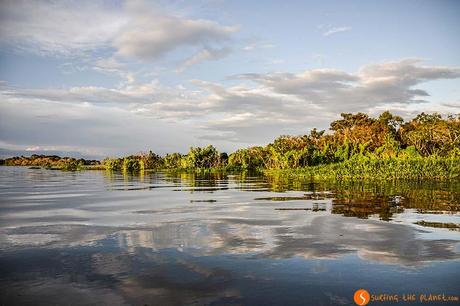 Viaggio in amazzonia - colori dell'amazzonia