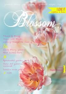 Blossom zine Spring Cover br