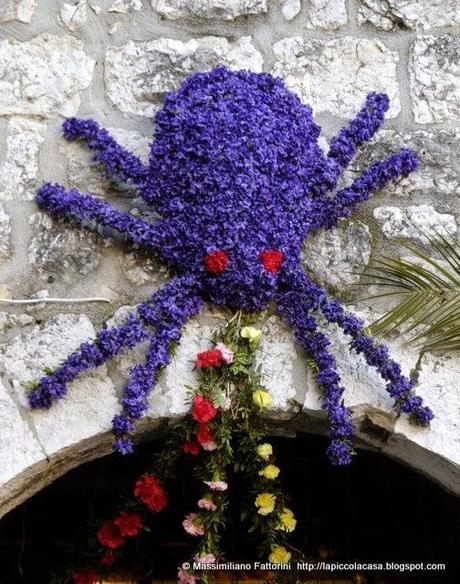 Qualche foto dalla Fête des Violettes a Tourrettes sur Loup