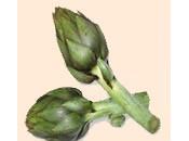 Carciofi Alla Cavour