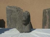 Egitto: trovati busti della Sekhmet