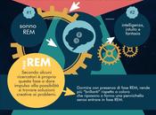 REM: quel sonno rende creativi