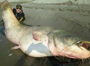 catturato pesce kg...Rocco dall'isola devo tornare difendere reputazione"