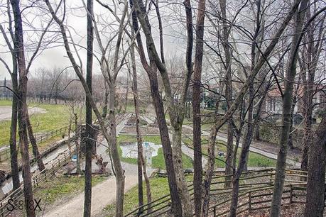 Scorci di Padova: Parco Buzzaccarini di Monselice