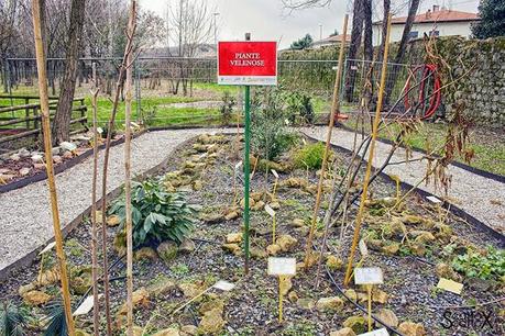 Scorci di Padova: Parco Buzzaccarini di Monselice