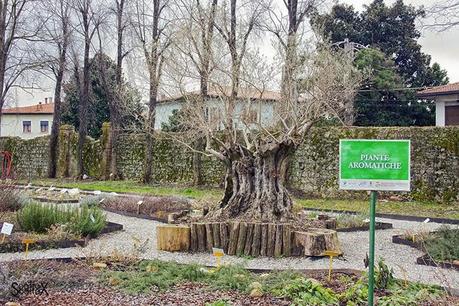 Scorci di Padova: Parco Buzzaccarini di Monselice