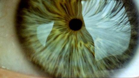 Spun Spun