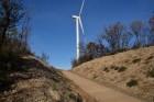 Parco eolico: energia alternativa tutela ambientale?