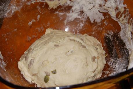 Schiacciatine croccanti con semi di zucca ,girasole,sesamo e papavero