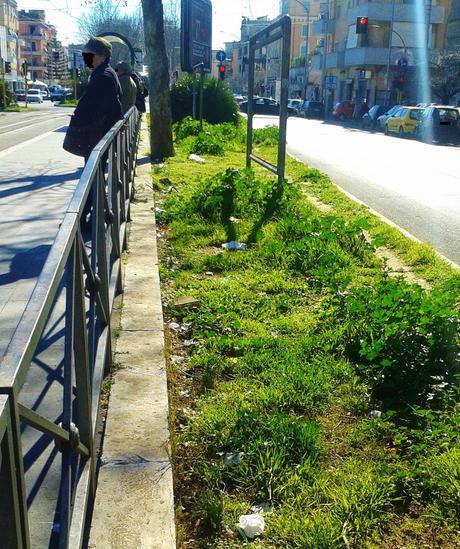 Ex fiore all'occhiello della città, oggi il tram 8 si fa largo a fatica in un mare di zella e monnezza. Reportage in 18 foto