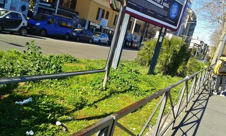 Ex fiore all'occhiello della città, oggi il tram 8 si fa largo a fatica in un mare di zella e monnezza. Reportage in 18 foto