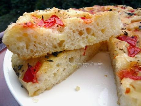 Focaccia barese con licoli