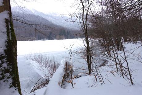 Sciare in Montenegro: Biogradska Gora e Durmitor