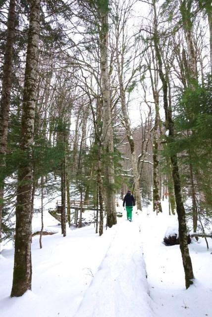 Sciare in Montenegro: Biogradska Gora e Durmitor