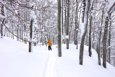 Sciare in Montenegro: Biogradska Gora e Durmitor