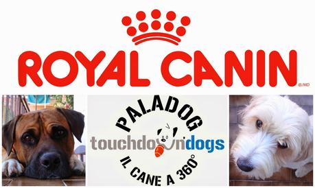 UNA GIORNATA CON BIRBA E ROYAL CANIN AL PALADOG DI COLOGNO MONZESE