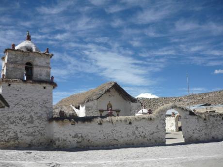 Cile del Nord – La natura mozzafiato del Parque Lauca