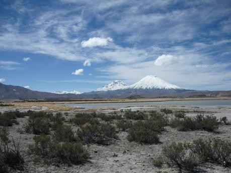 Cile del Nord – La natura mozzafiato del Parque Lauca