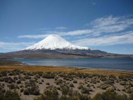 Cile del Nord – La natura mozzafiato del Parque Lauca