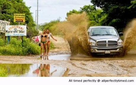 La foto più belle divertenti e particolari mai viste prima