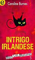 Segnalazione: Black Cat Mysteries - Caroline Burnes