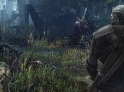 Witcher Wild Hunt, Krzeminski Projekt RED) “Poca differenza 1080p 900p”