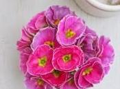 Spring Summer blog inglese dedicato fiori