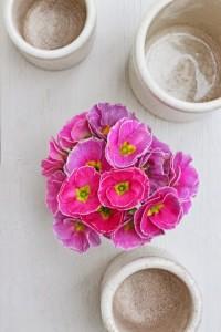 22 02 15_9366_edited-2-e_edited-1-spoth-clone_edited-1-web-500-72