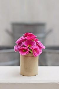 22 02 15_9353_edited-2-e_edited-1-spoth-clone_edited-1-web-500-72