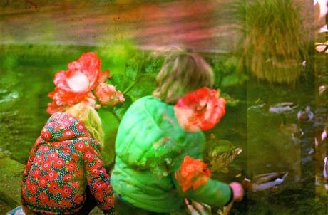 Film Swap con Alice Pam - Italia / Nuova Zelanda Film Swap con Alice Pam - Italia / Nuova Zelanda