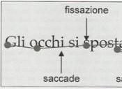 Bambino Riesce Controllare Movimenti Degli Occhi, Leggere, Sembra Svogliato, Sembrare Dislessico.