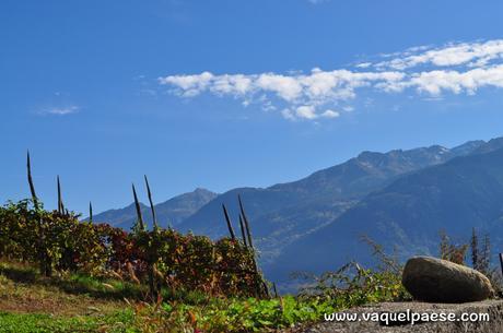 La Via dei Terrazzamenti: itinerari slow in Valtellina valtellina-23