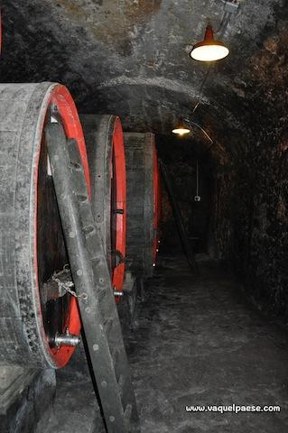 La Via dei Terrazzamenti: itinerari slow in Valtellina valtellina-9