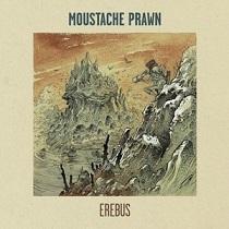 Moustache Prawn – Erebus